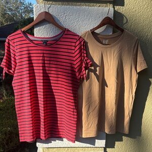 Woman’s Medium Shirt Bundle